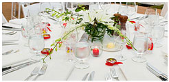 Crockery Cultery Services in Gurgaon Haryana India